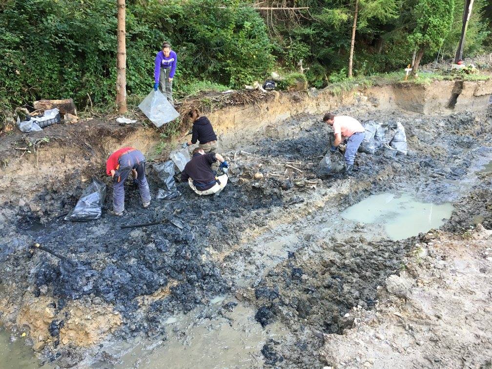 14379994_190052924752209_5648921109276436474_o