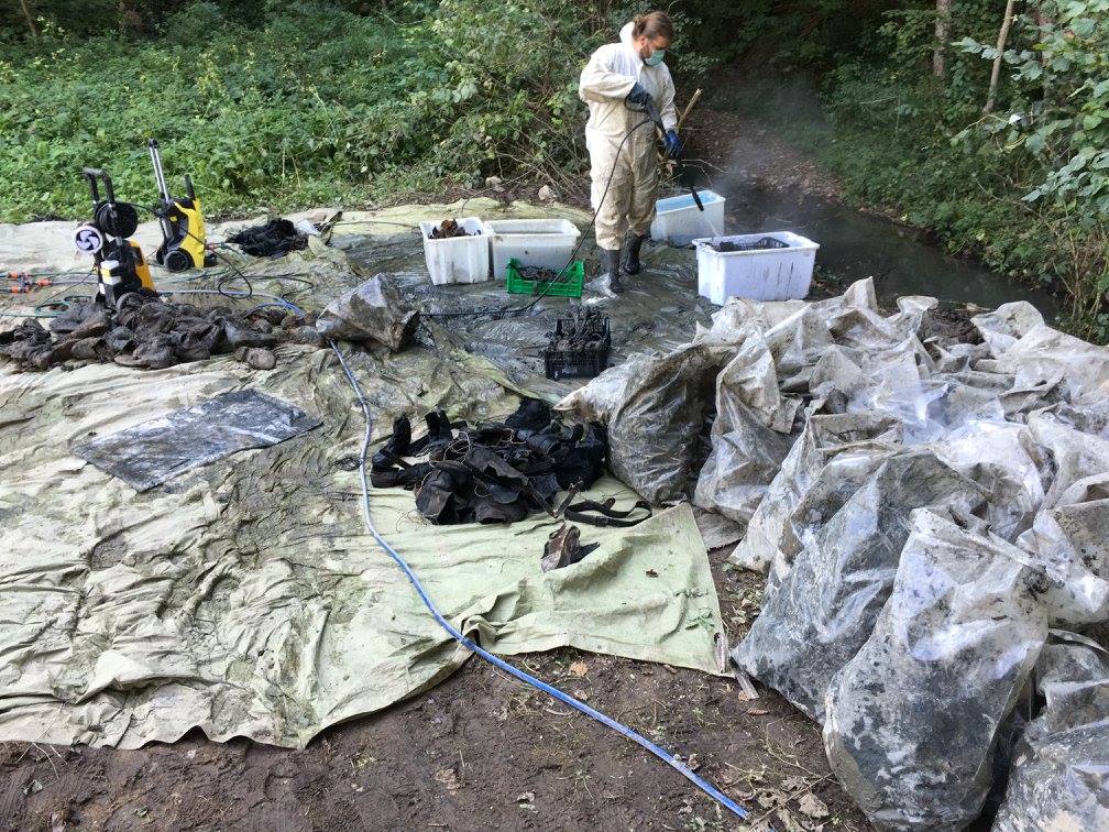 14424933_190052878085547_2432225281669057624_o