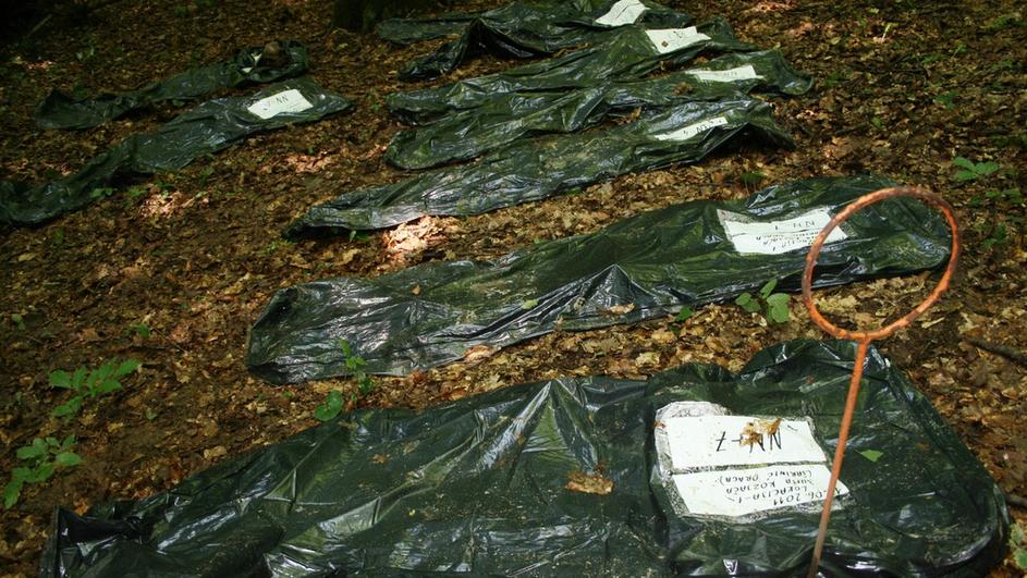 5ea748be658b30bf9ce1