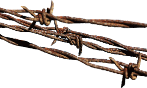 KRNDIJA – CERCARON TODA LA ALDEA COM ALAMBRE Y LA TRANSFORMARON EN UN CAMPO DE CONCENTRACIÓN (En el campo de Krndija morían de hambre, enfermedades y trabajo agotador ancianos, mujeres y niños)