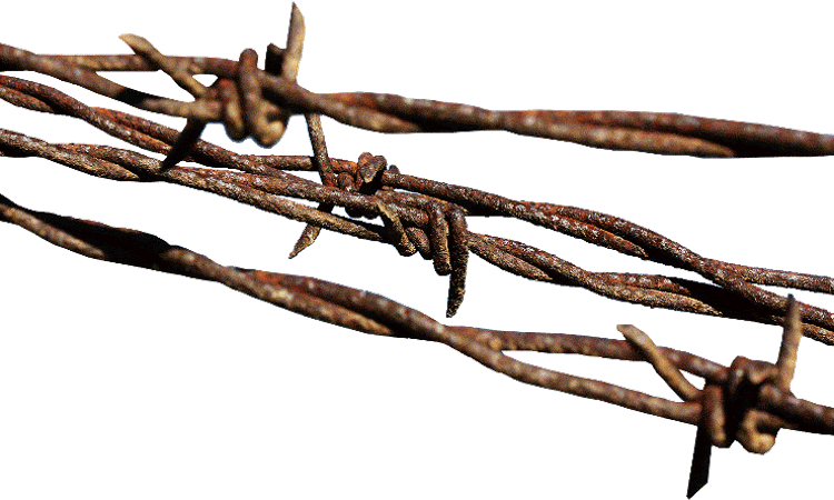 KRNDIJA – CERCARON TODA LA ALDEA COM ALAMBRE Y LA TRANSFORMARON EN UN CAMPO DE CONCENTRACIÓN (En el campo de Krndija morían de hambre, enfermedades y trabajo agotador ancianos, mujeres y niños)