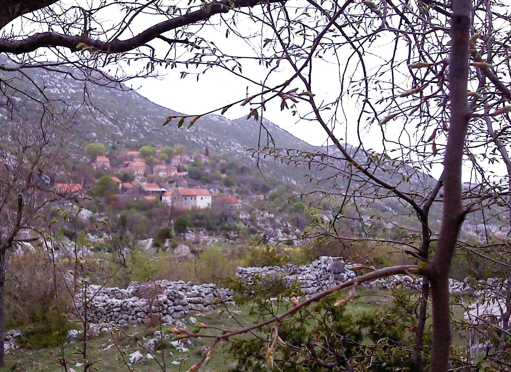 858187_10156446102430525_3133862873135982788_o