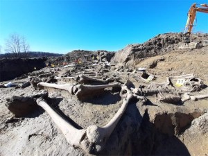 DE LA FOSA EN TOMAŠICA FUERON EXHUMADAS 53 PERSONAS, DE LAS CUALES CINCO ERAN MUJERES Y SIETE ERAN NIÑOS (A la mayoría de las víctimas les fue destrozado el cráneo con objetos romos, traemos la fotografías del desentierro)